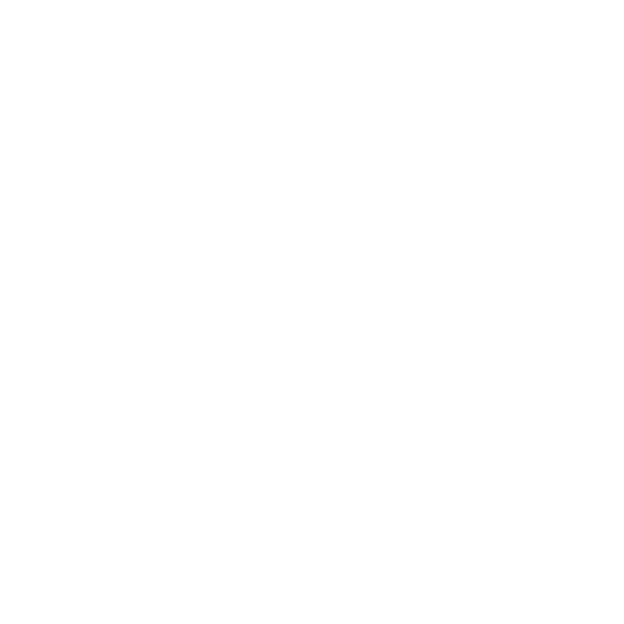 Window icon