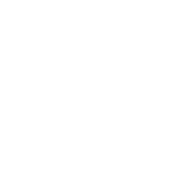 Screw icon